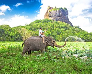 Sigiriya Sri Lanka Tour MyHoliday2