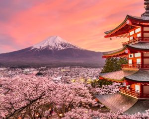japan tour deals MyHoliday2