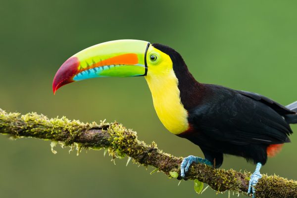 Myholiday2Peru