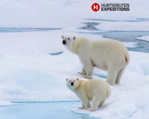 Svalbard Expedition