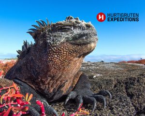 Galapagos Cruise