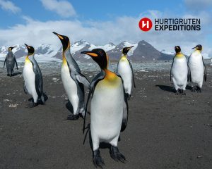 Antarctica and South Georgia cruise