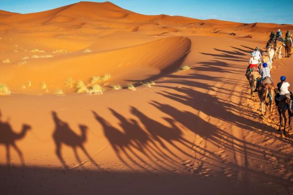 11 Day Magic of Morocco Small Group Tour