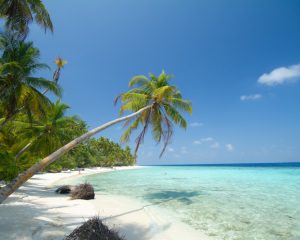 Filitheyo Island Resort. 2for1 Maldives with flights