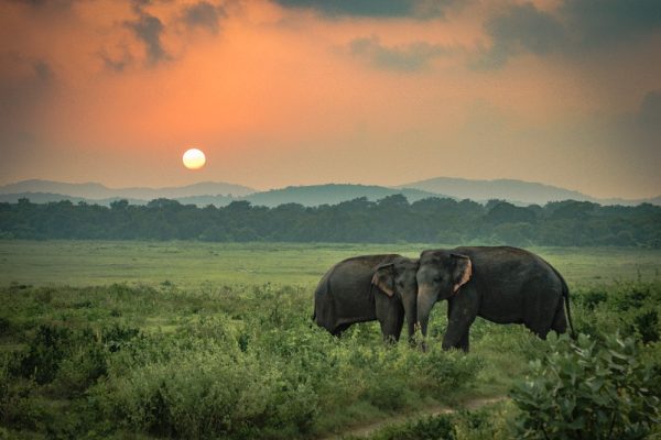 India & Sri Lanka Tour MyHoliday2