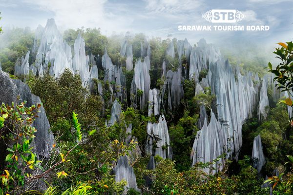 10 Day Sarawak Tour with Miri National Park