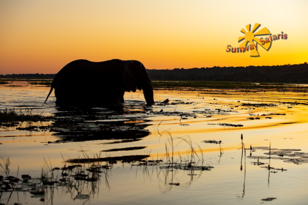 21 Day Southern Africa Safari: Cape Town to Victoria Falls