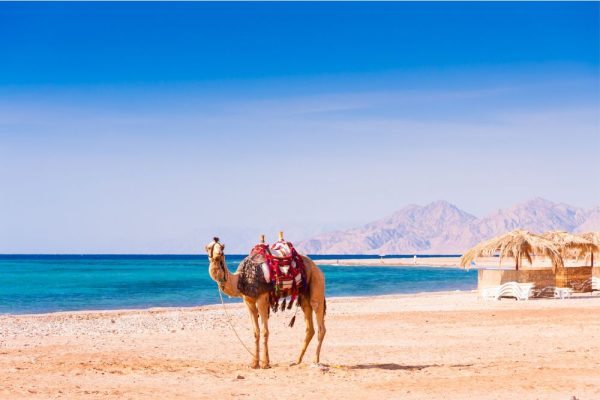 Egypt and Red Sea