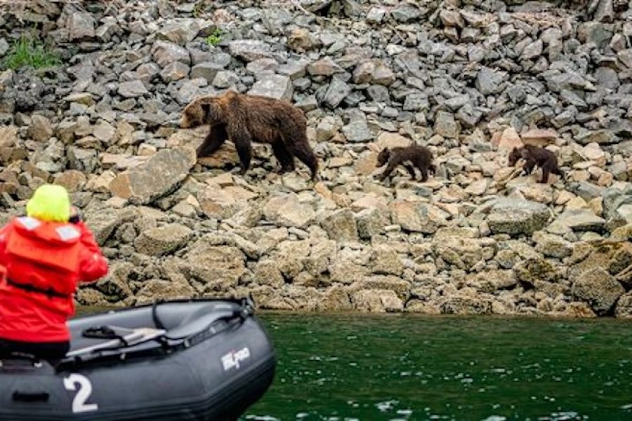 Alaska & British Columbia - Oscar_Farrera_-_20230711_001_Geographic_Harbour_Oscar_Farrera_1200x675px