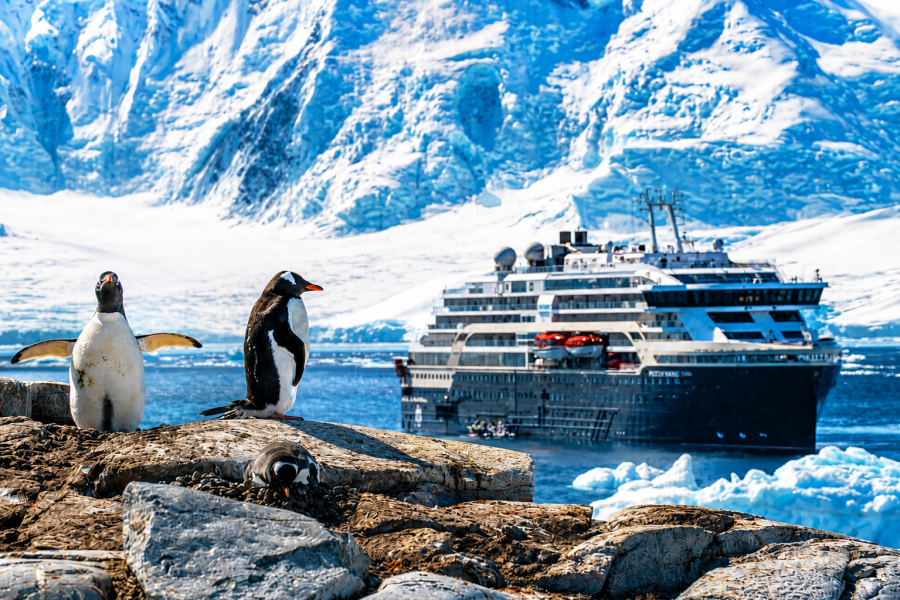 Antarctica - Damoy Point - MS Fridtjof Nansen - Penguins - HX