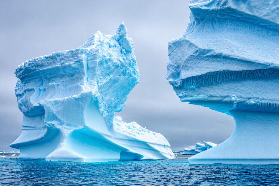 Antarctica - Yalour Islands - HX