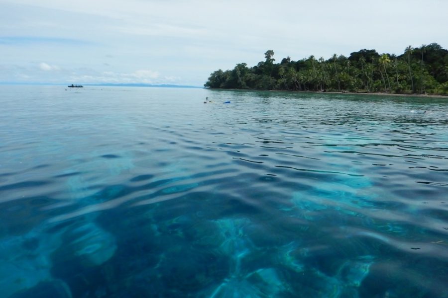 Auri Island
