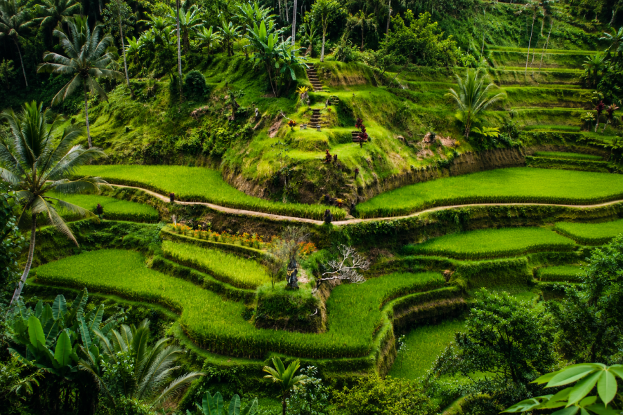 Bali - Tengalang