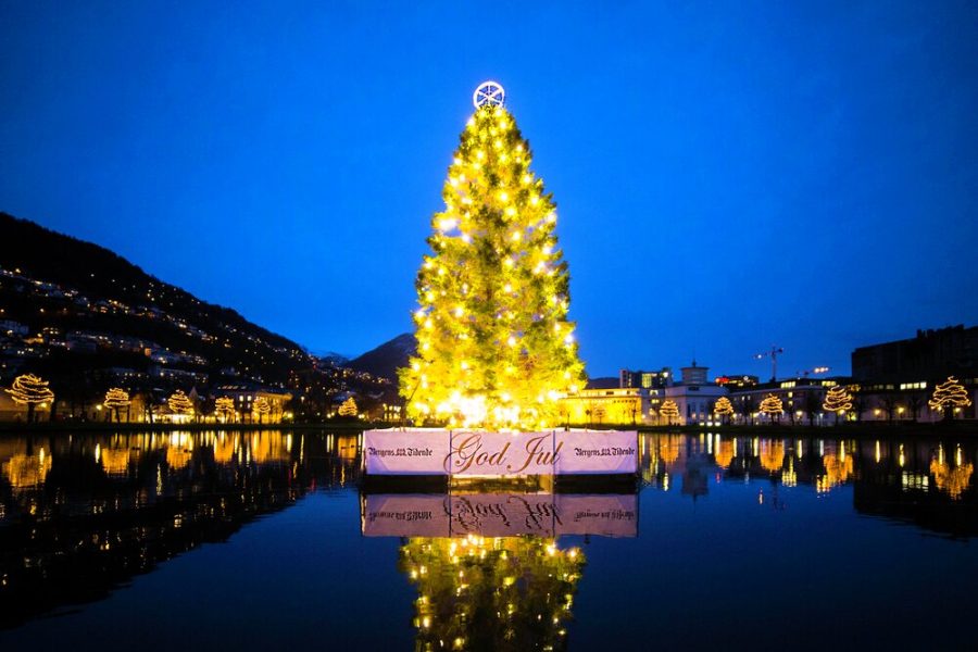 Christmas Tree, Bergen - Norway - Hurtigruten