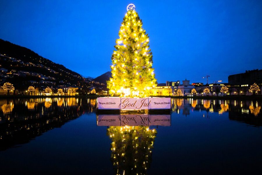 Christmas Tree, Bergen - Norway - Hurtigruten