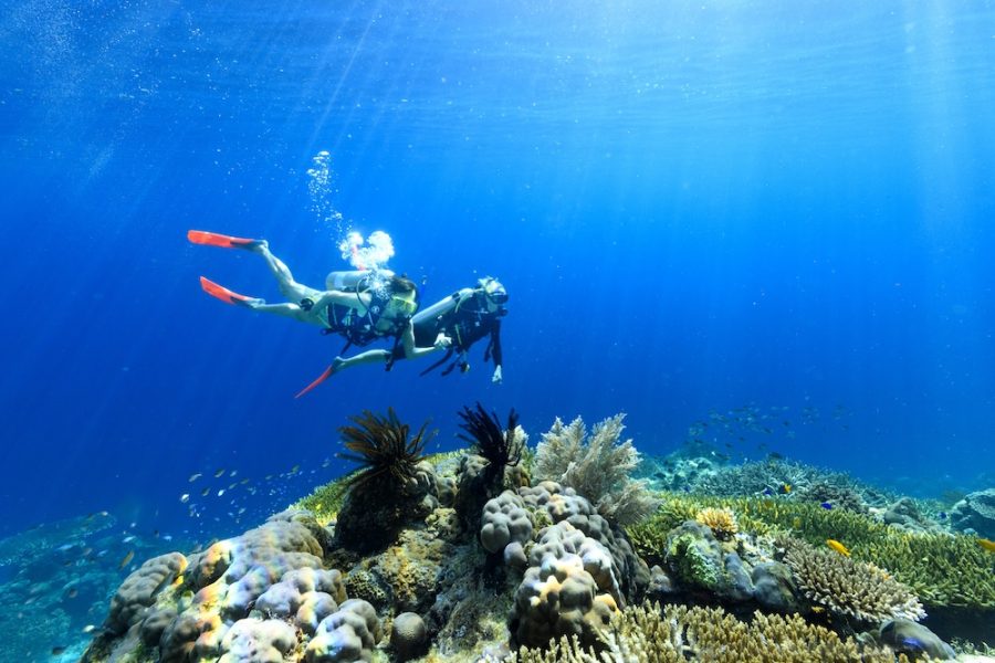 Coral Expeditions - Raja Ampat & Spice Islands (3)