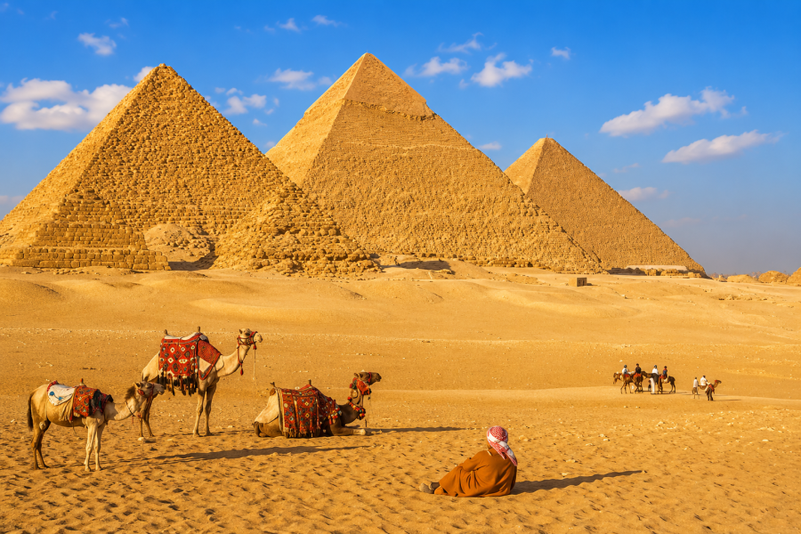 Egypt - Camel and Pyramids