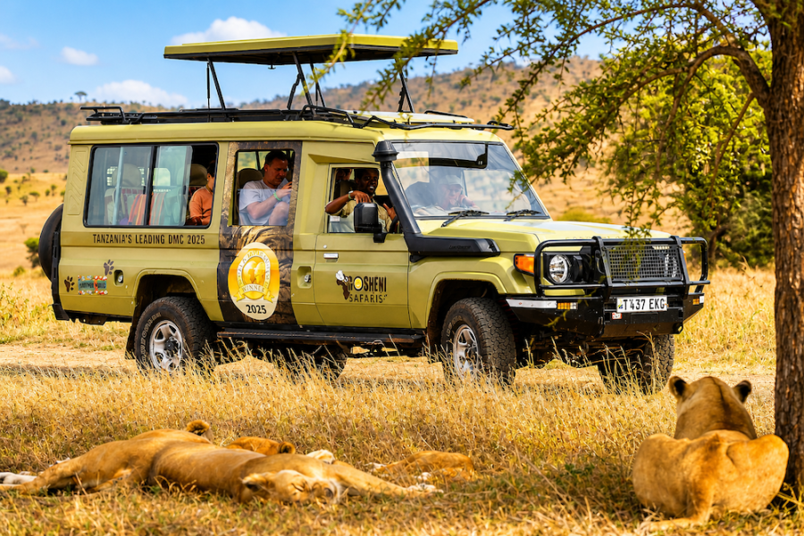 Gosheni - Kilimanjaro & Serengeti 3