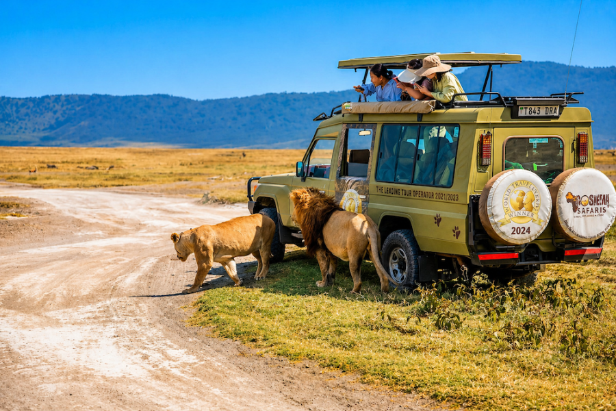 Gosheni - Kilimanjaro & Serengeti 9