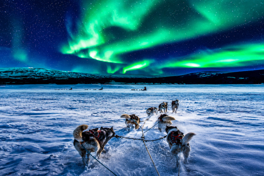 Hurtigruten - Northern Lights and Huskies