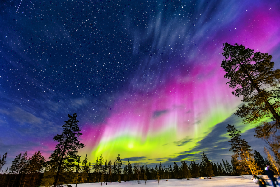 Hurtigruten Savour the Lights - Pink Northern Lights