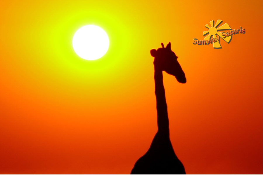 Sunway Cape Town to Victoria Falls 14