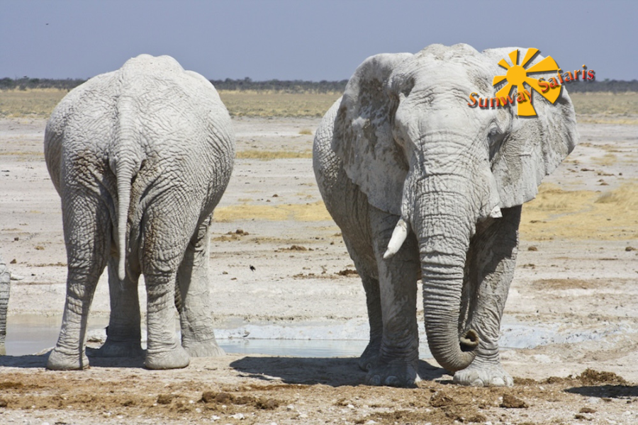 Sunway Cape Town to Victoria Falls 2