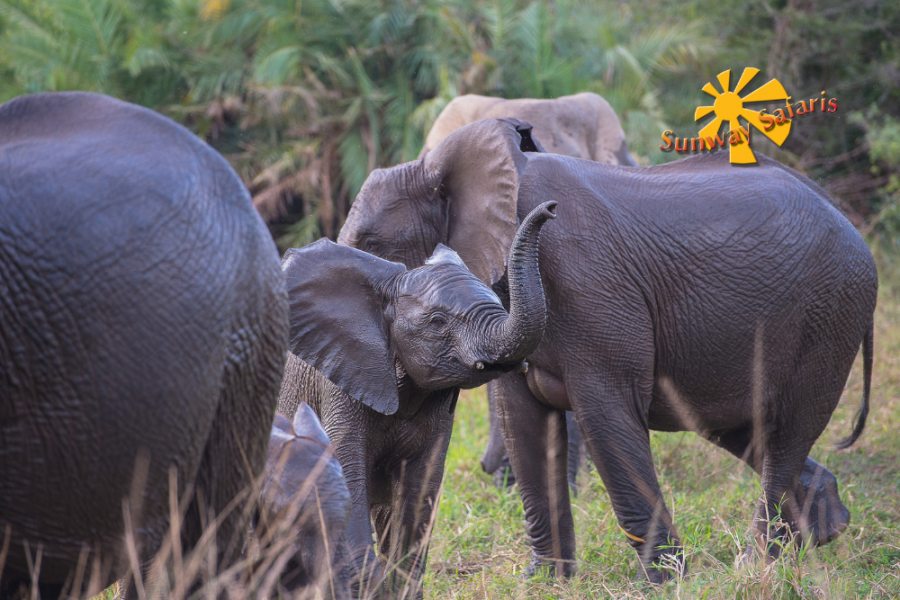 Sunway Rainbow Route 16