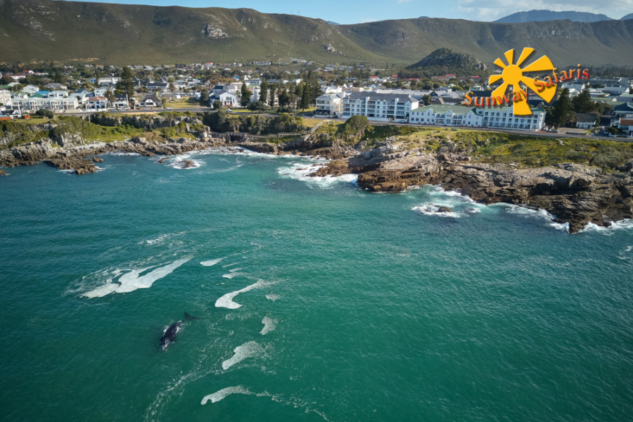 Sunway Rainbow Route 3