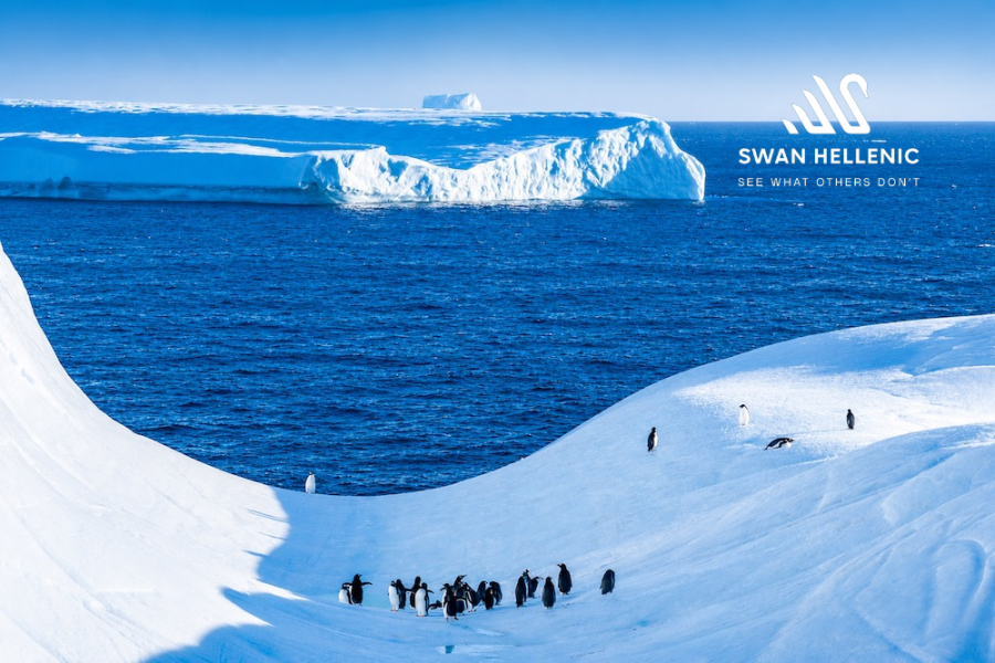 Swan Hellenic - Antarctica Penguins with Logo