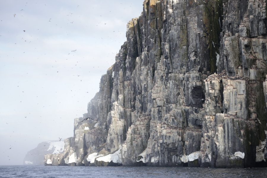 Swan Hellenic Svalbard Cliffs